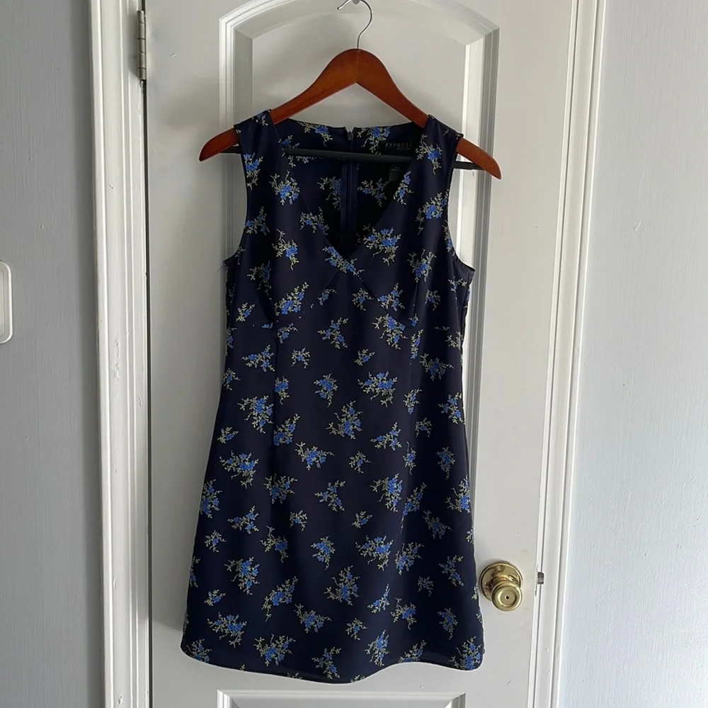 Express women’s dress - Picture 1 of 7